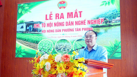 Lễ ra mắt Chi hội nông dân nghề nghiệp Hội nông dân phường Tân Phong