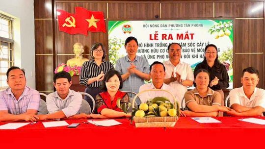 <a href="/tin-tuc-su-kien/tin-van-hoa-xa-hoi" title="Tin Văn hóa - Xã hội" rel="dofollow">Tin Văn hóa - Xã hội</a>