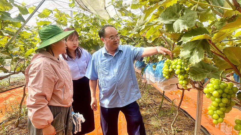 Đồng chí Bí thư Đảng uỷ phường tham quan mô hình kinh tế tiêu biểu của Đoàn thanh niên phường Tân Phong.
