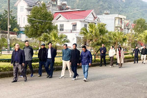 Khảo sát tuyến Phố Nguyễn Thị Định - Tổ đân phố số 9, phường Tân Phong