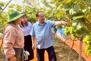 Đồng chí Bí thư Đảng uỷ phường tham quan mô hình kinh tế tiêu biểu của Đoàn thanh niên phường Tân Phong.
