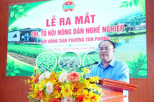 Lễ ra mắt Chi hội nông dân nghề nghiệp Hội nông dân phường Tân Phong