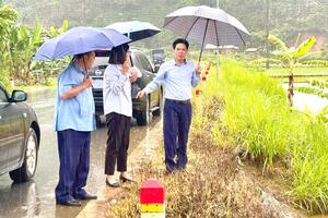 Lãnh đạo phường Tân Phong kiểm tra, chỉ đạo khắc phục nguy cơ thiệt hại do mưa lũ trên địa bàn.