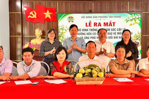 🌱🍐 TÂN PHONG RA MẮT MÔ HÌNH TRỒNG VÀ CHĂM SÓC CÂY LÊ THEO HƯỚNG HỮU CƠ GẮN VỚI BẢO VỆ MÔI TRƯỜNG VÀ ỨNG PHÓ BIẾN ĐỔI KHÍ HẬU🍐🌱