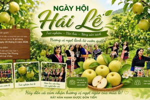 🍐🌿 PHƯỜNG TÂN PHONG TỔ CHỨC NGÀY HỘI HÁI LÊ NĂM 2026 🌿🍐