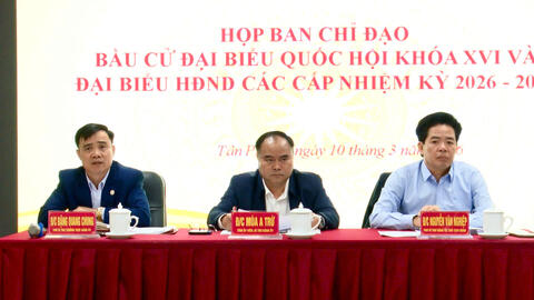 Họp Ban chỉ đạo bầu cử đại biểu Quốc hội khóa XVI và đại biểu HĐND các cấp nhiệm kỳ 2026-2031 phường Tân Phong.