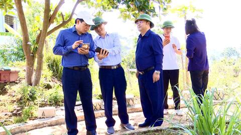 Khảo sát khu vực đường cao tốc Lai Châu – Bảo Hà, Lào Cai dự kiến đi qua địa bàn phường Tân Phong.