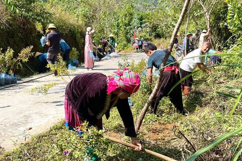 Bản Chin Chu Chải, phường Tân Phong trồng hoa tạo cảnh quan phát triển du lịch.